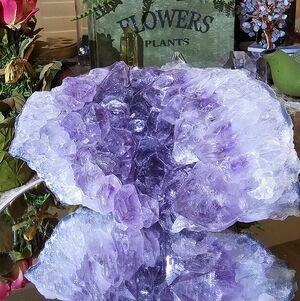 Gorgeous Amethyst specimen with large and well-defined points!